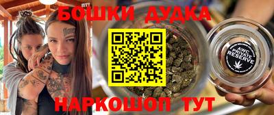 молекула духа Будённовск