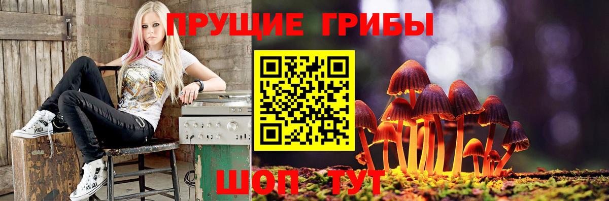 дарнет шоп  Галлюциногенные грибы GOLDEN TEACHER  Вход с VPN  Ростов Великий 